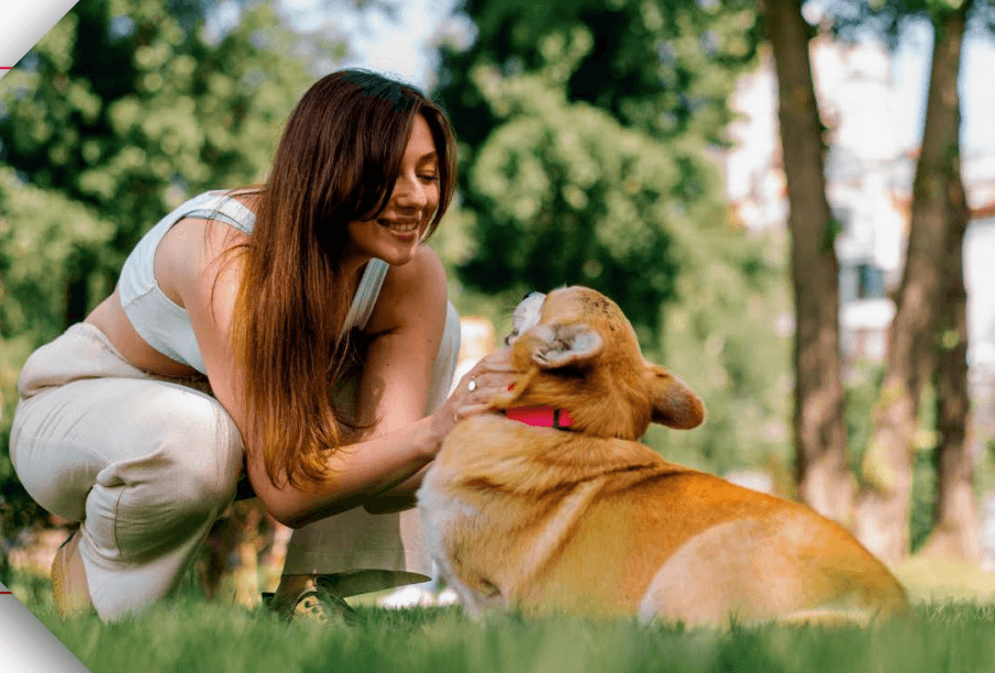 Outdoor swimming pool with lounge chairs